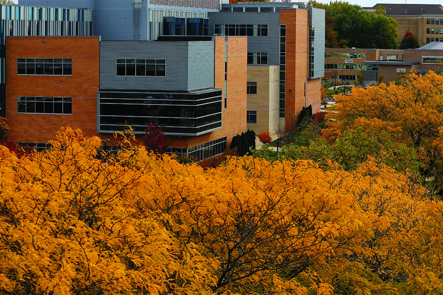 An aerial view of academic buildings surrounded by tall trees with bright orange leaves.