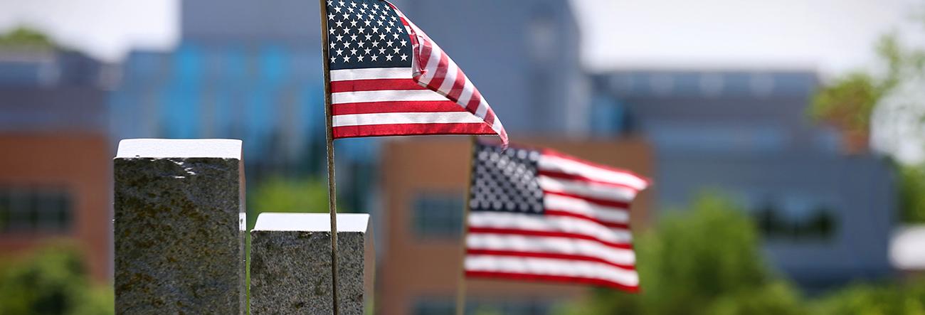 American flags waving in the breeze